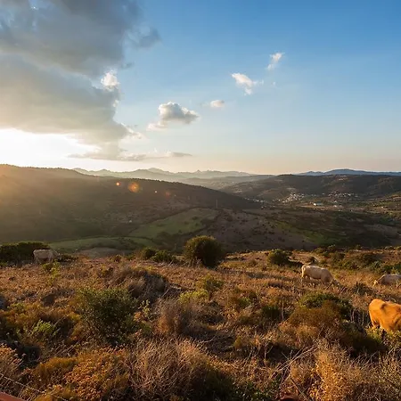 Irghitula Posada (Sardinia)